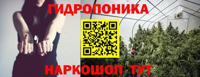 Альфа ПВП Комсомольск-на-Амуре