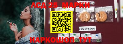 тгк Коммунар