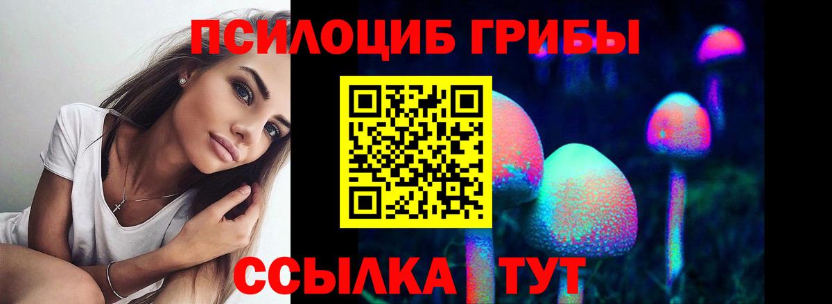 Псилоцибиновые грибы Psilocybine cubensis Кимры